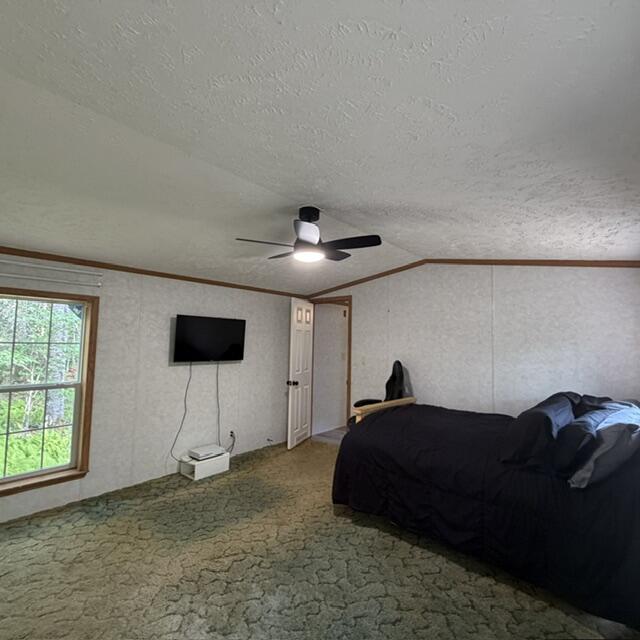 320 Cross Road Alna, ME 04535 - Photo 18 of 32 IMG_5461