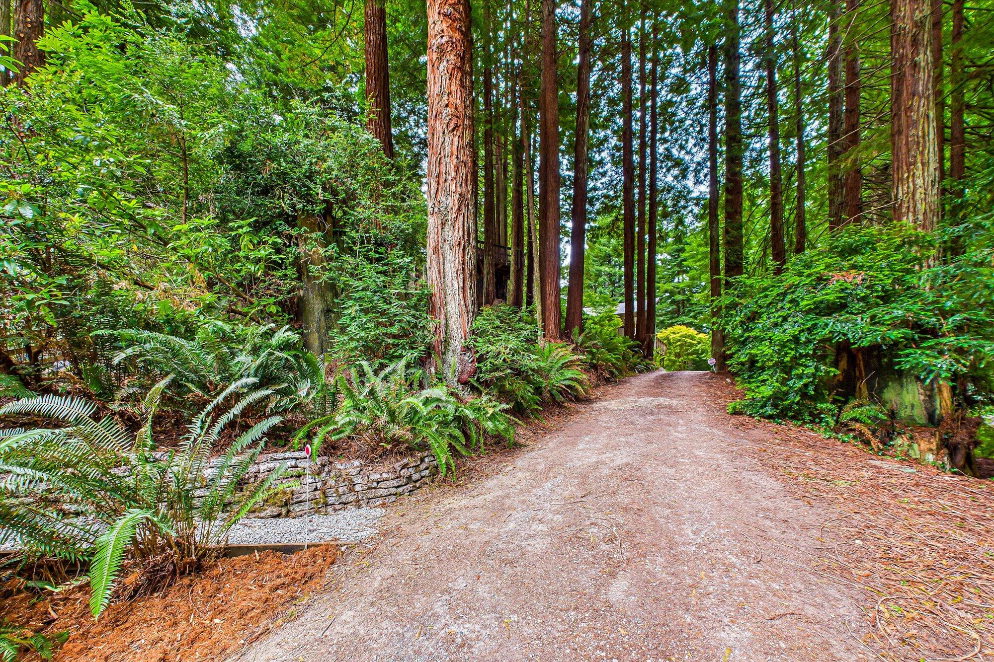 867 Beverly Way Arcata, CA 95521 - Photo 5 of 90