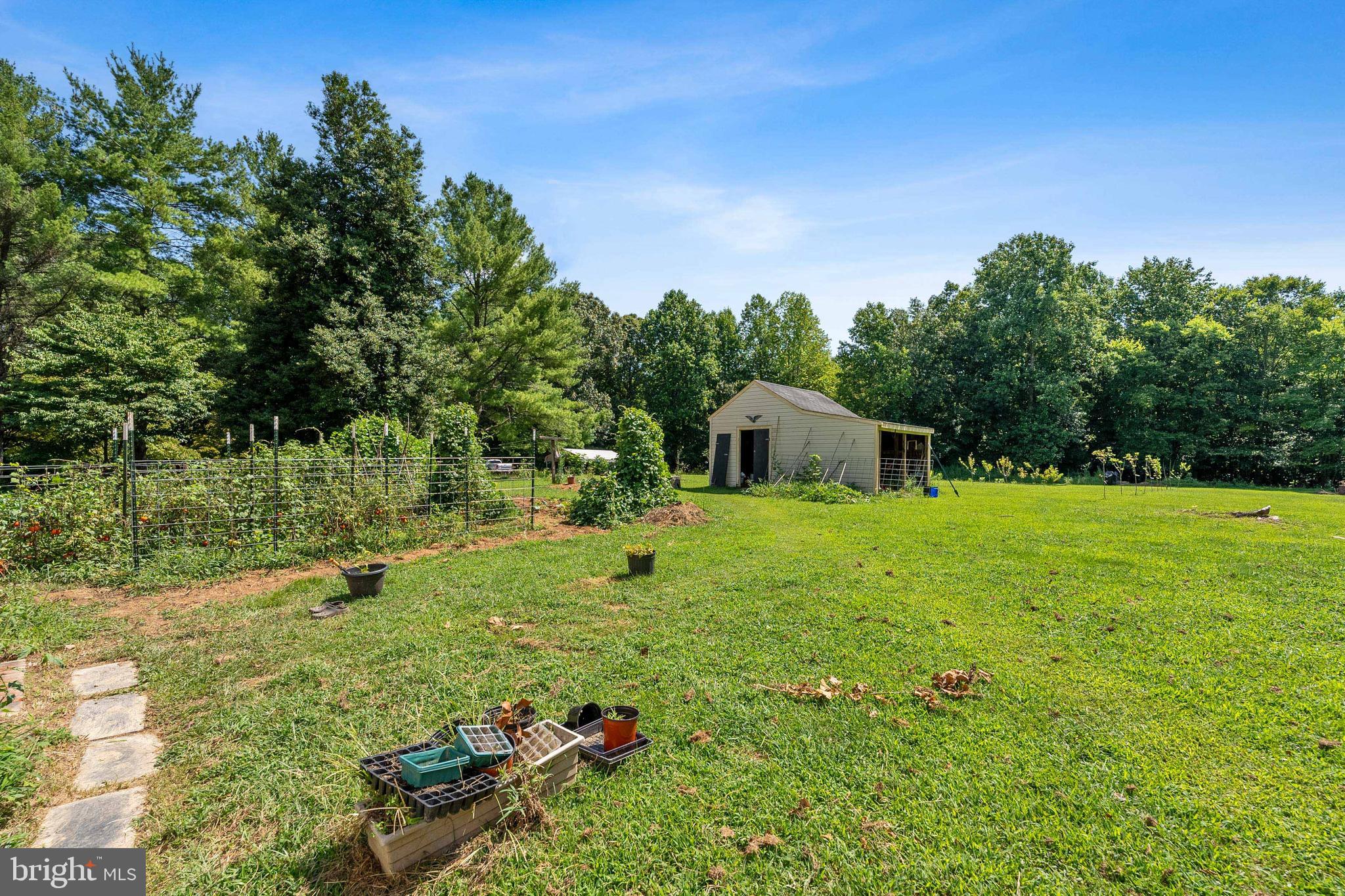 20507 Anderson Mill Road Beaverdam, VA 23015 - Photo 19 of 43 gardens and shed