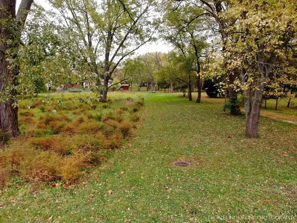 a view of yard with trees