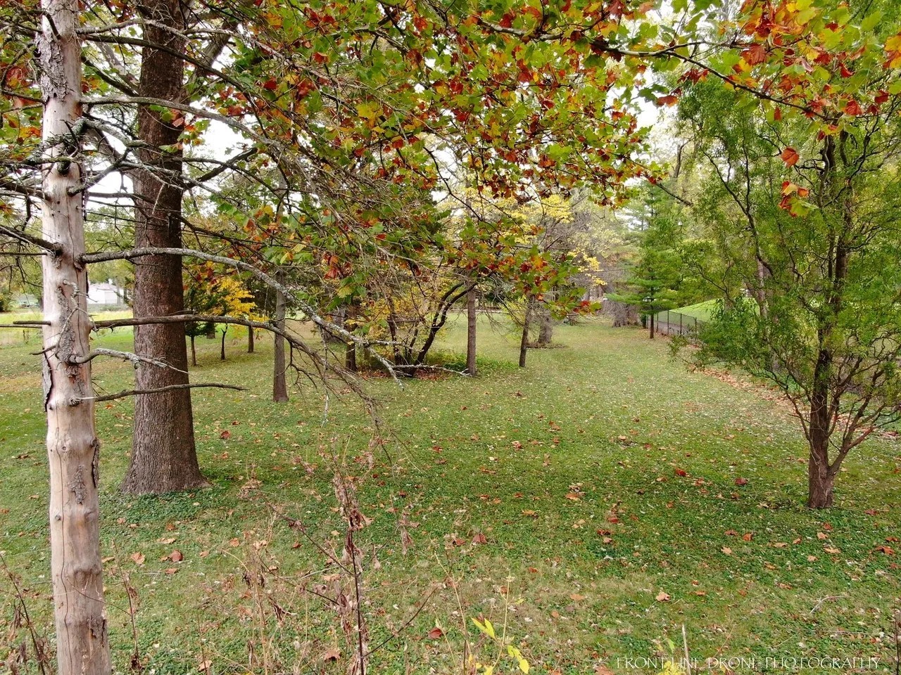 5609 River Road Lisle, IL 60532 - Photo 6 of 11 a view of yard