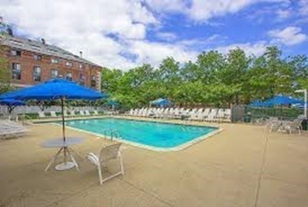 a view of a park with large trees