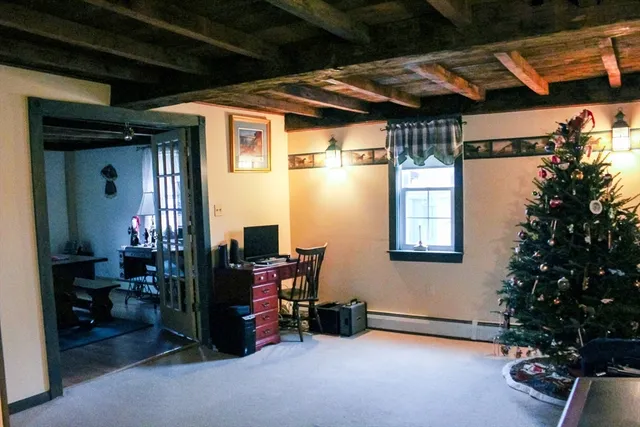 a room with furniture and a potted plant