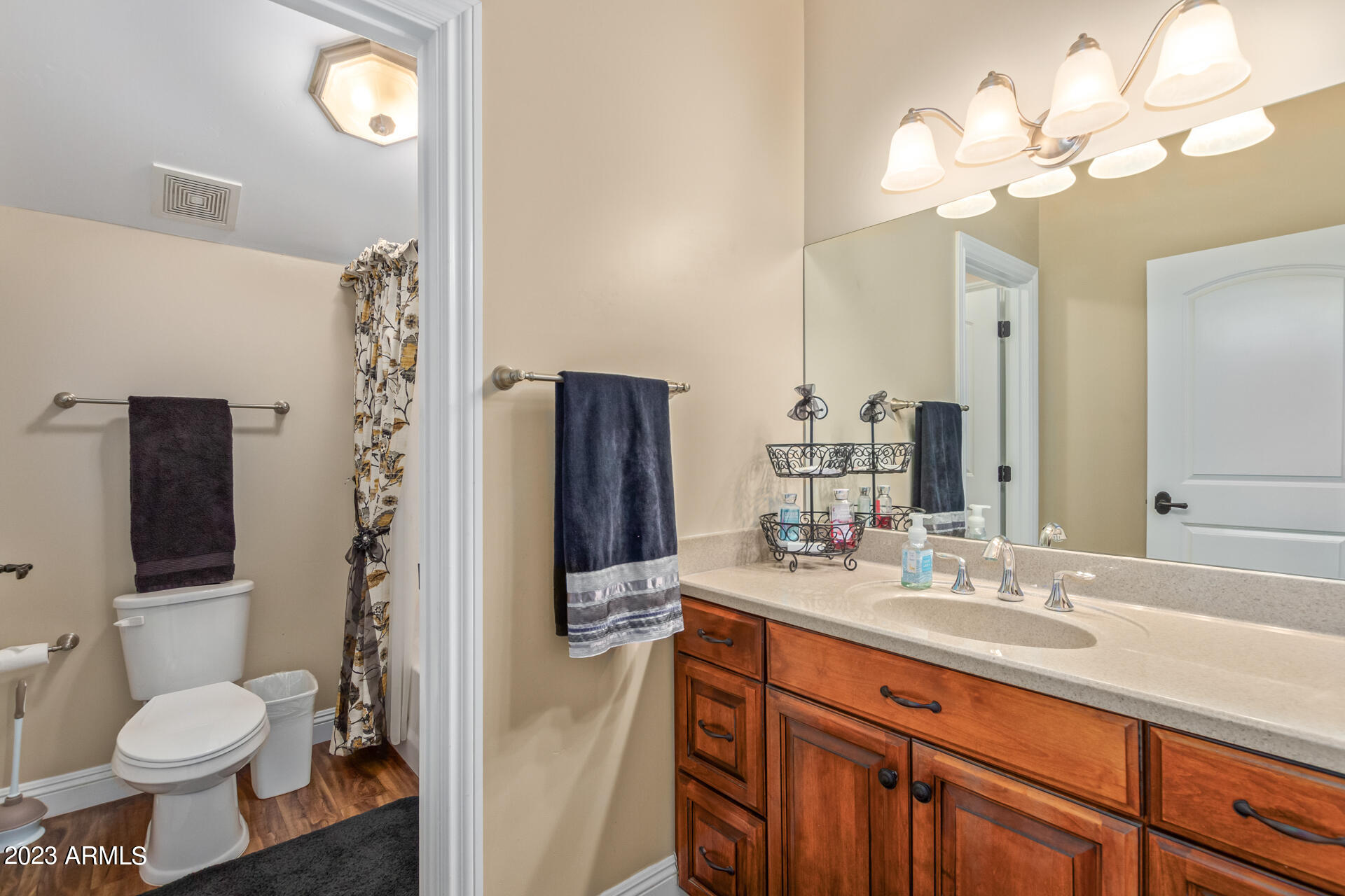 168 North Greenfield Road Gilbert, AZ 85234 - Photo 45 of 81 Upstairs Bathroom
