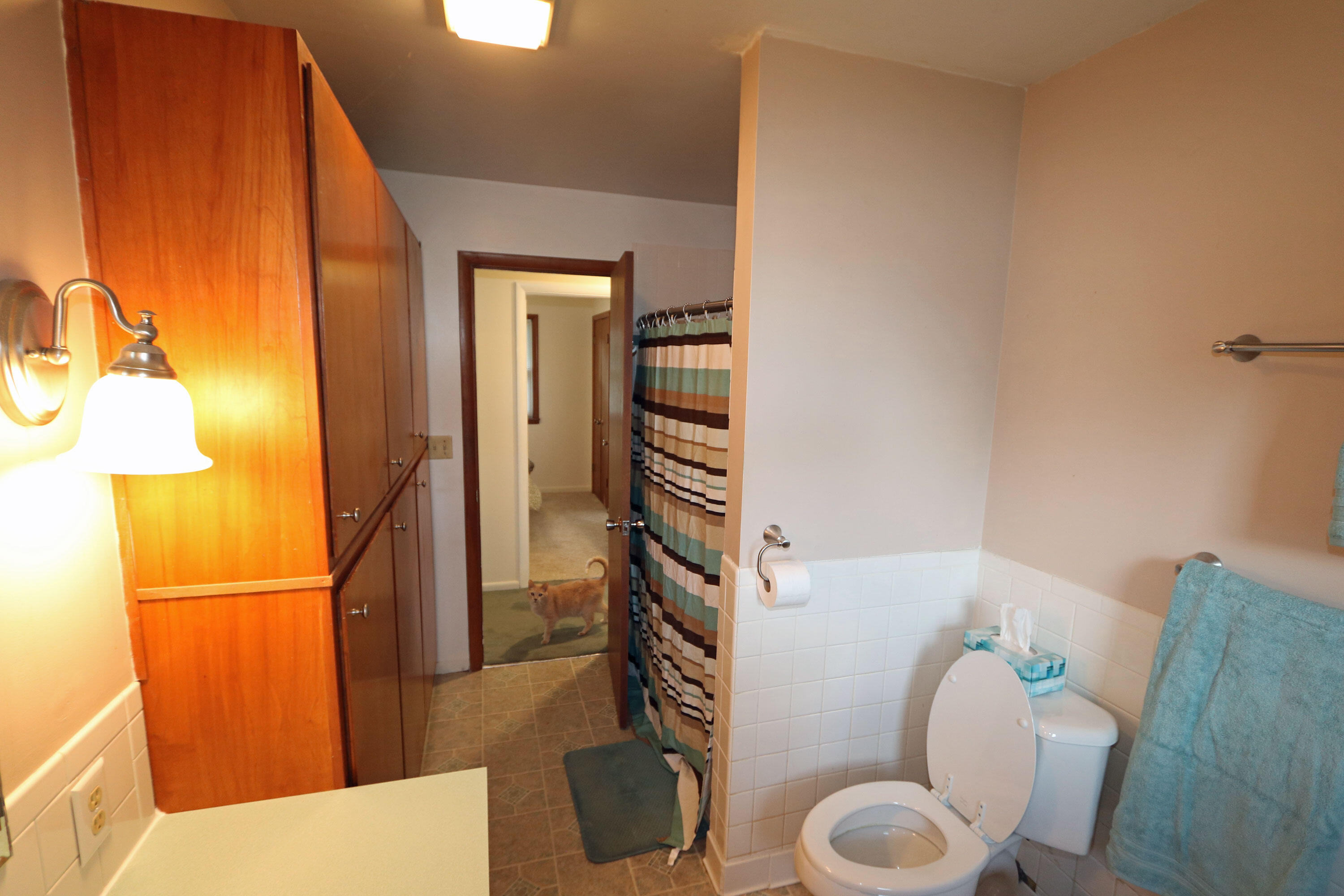 2858 Crown Point Road Stevensville, MI 49127 - Photo 8 of 13 2858-Crownpoint-Rd---mainbth2