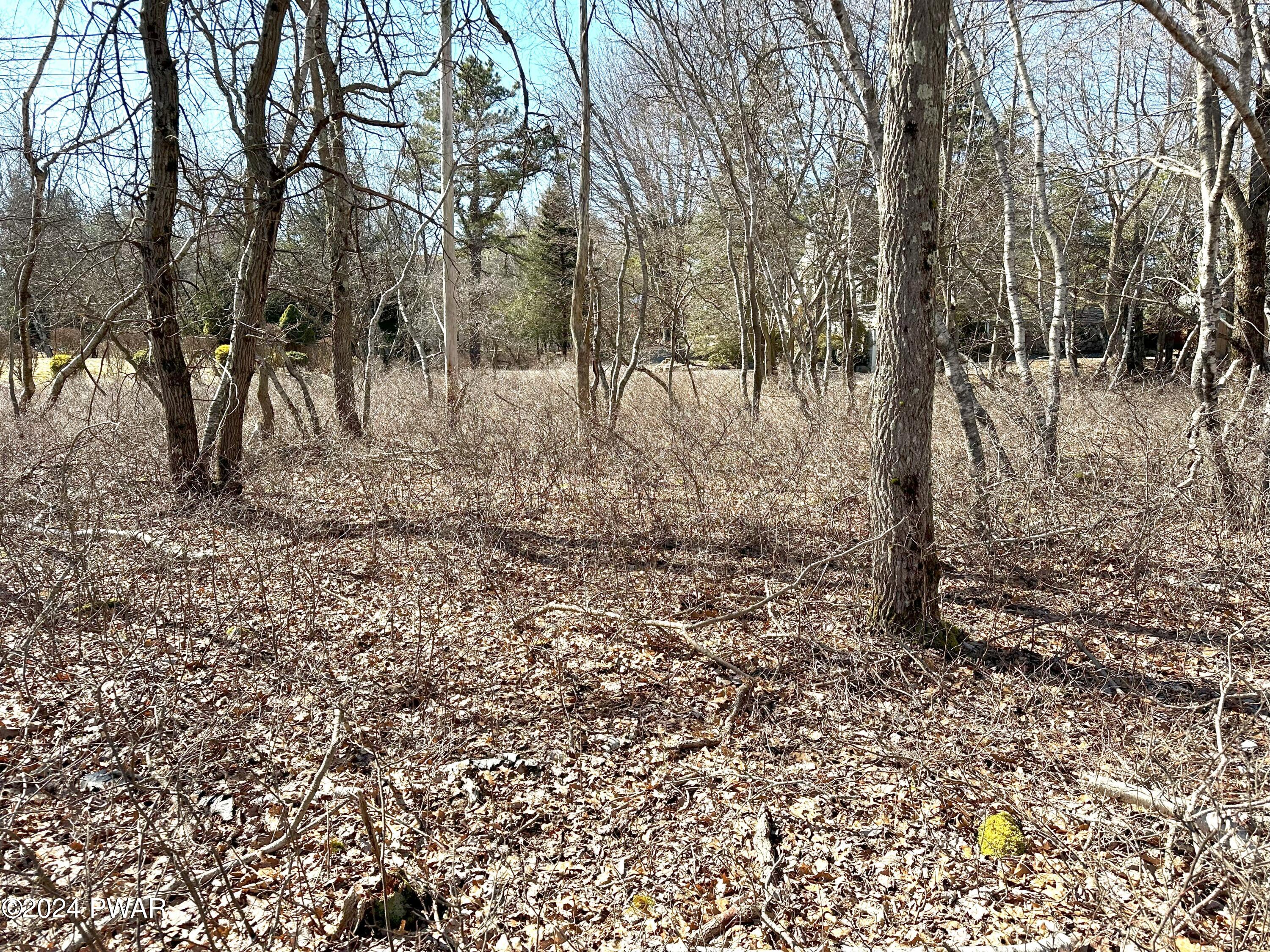 Beaver Dam Road Long Pond, PA 18334 - Photo 6 of 13
