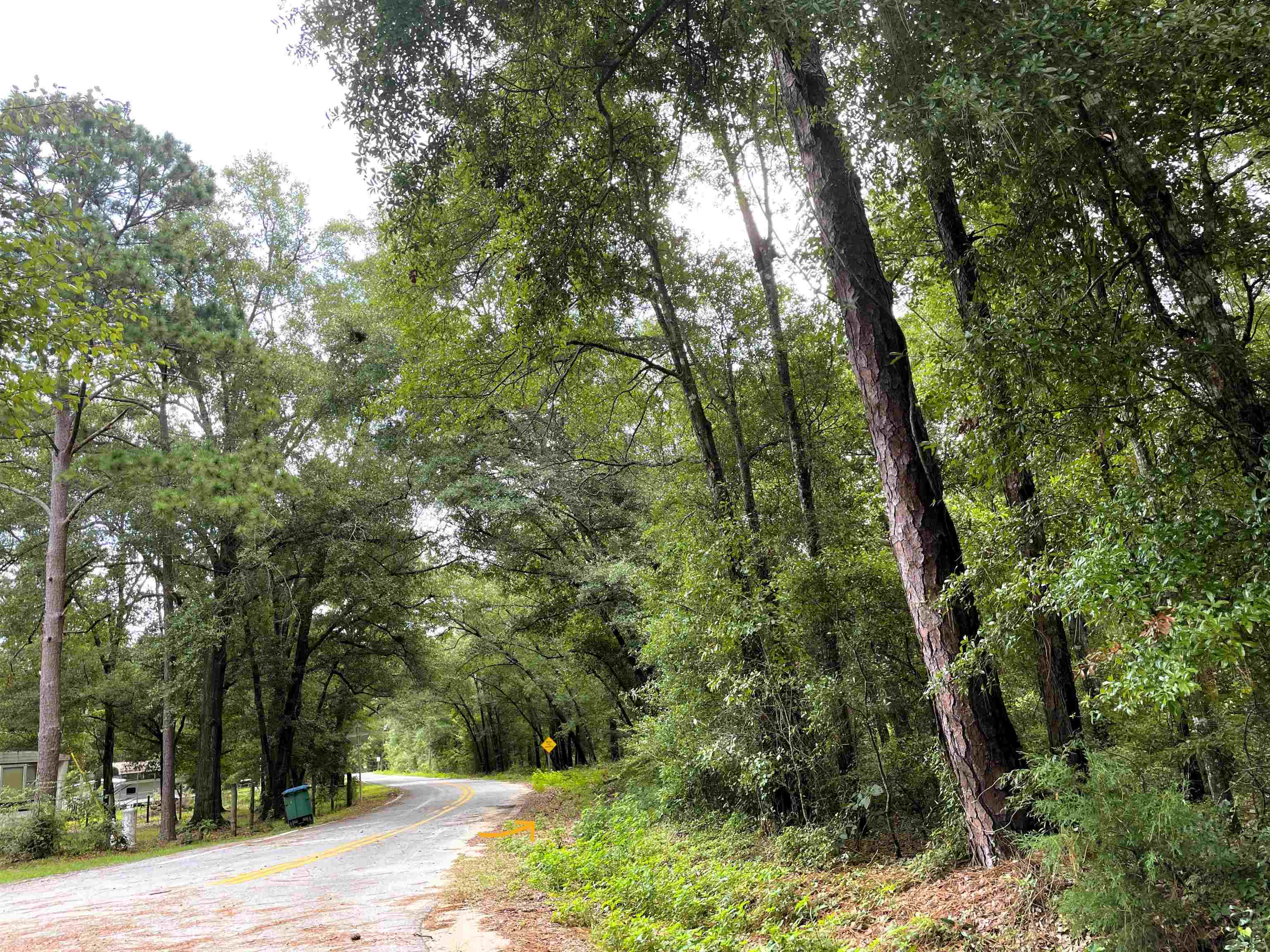 497 McPhaul Road Chattahoochee, FL 32324 - Photo 2 of 6