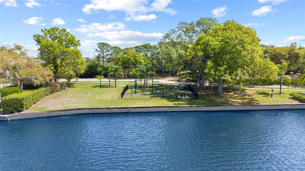 9810 Compass Point Way Tampa, FL 33615 - Photo 73 of 81 a view of a swimming pool with a yard