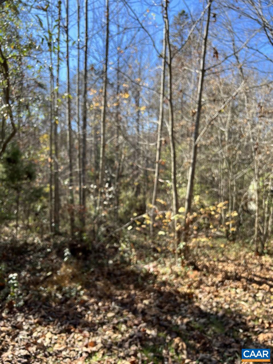 307 Larkspur Road Ruckersville, VA 22968 - Photo 1 of 3 Gallery Image 1