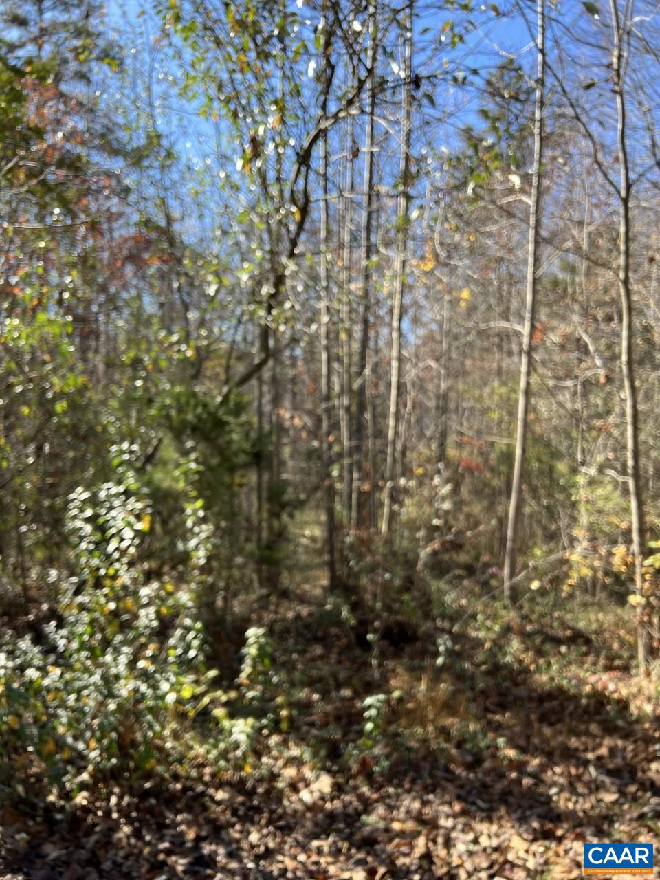 307 Larkspur Road Ruckersville, VA 22968 - Photo 2 of 3 Gallery Image 2
