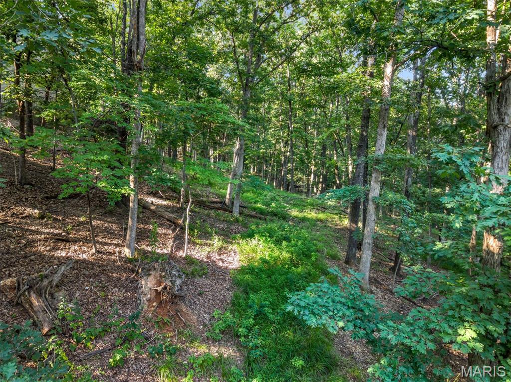1549 Paradise Valley Drive High Ridge, MO 63049 - Photo 3 of 65 Gallery Image 3