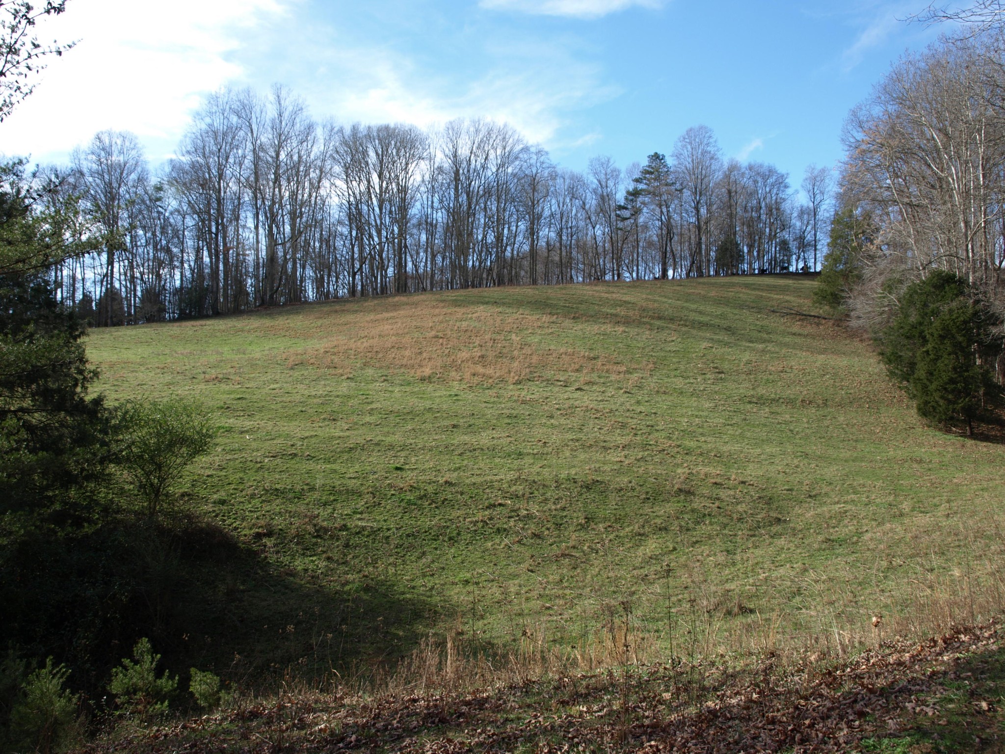 0 Big Creek Road La Follette, TN 37766 - Photo 14 of 30 Gallery Image 14