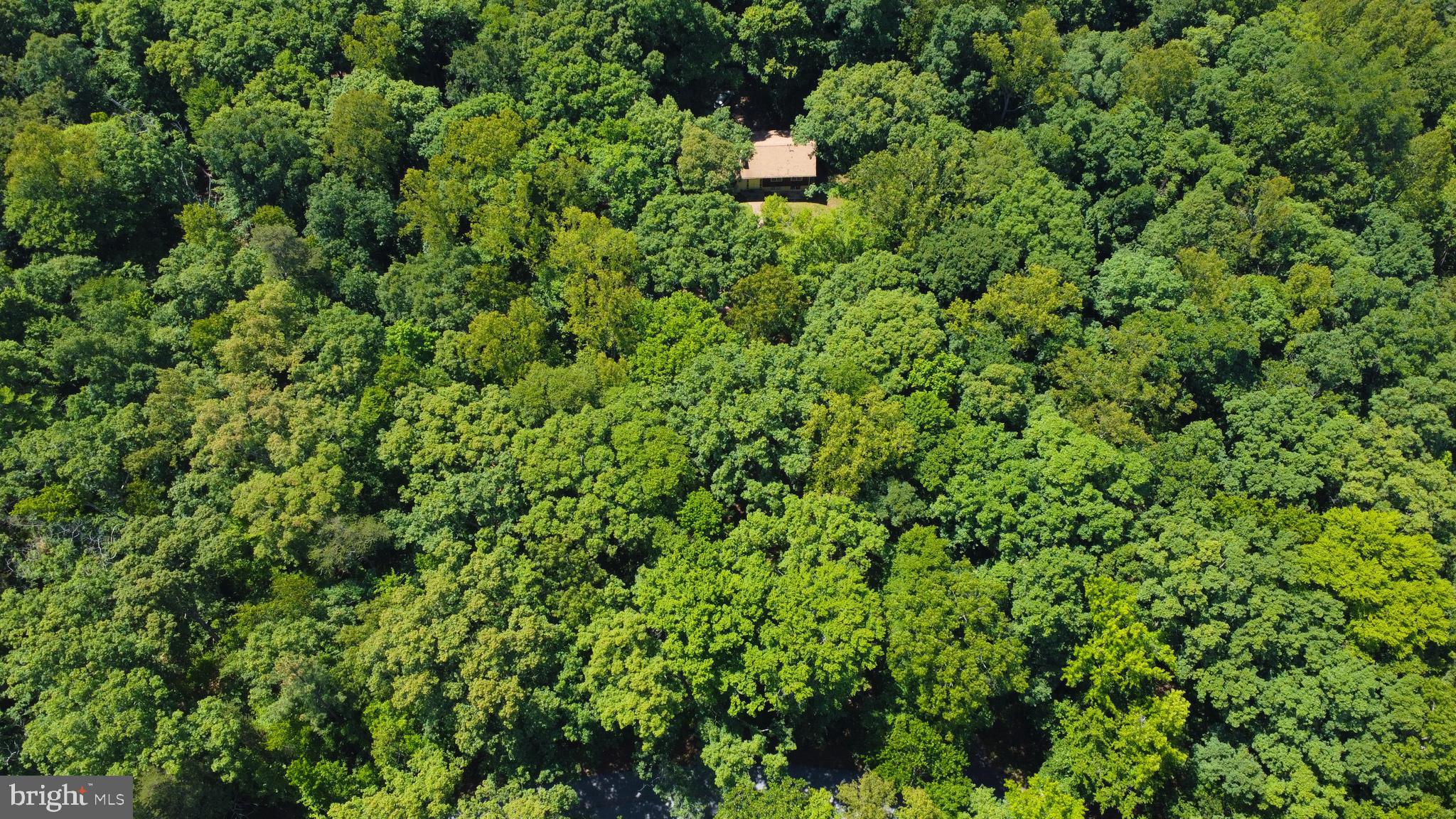 6144 St Pauls Road King George, VA 22485 - Photo 35 of 39