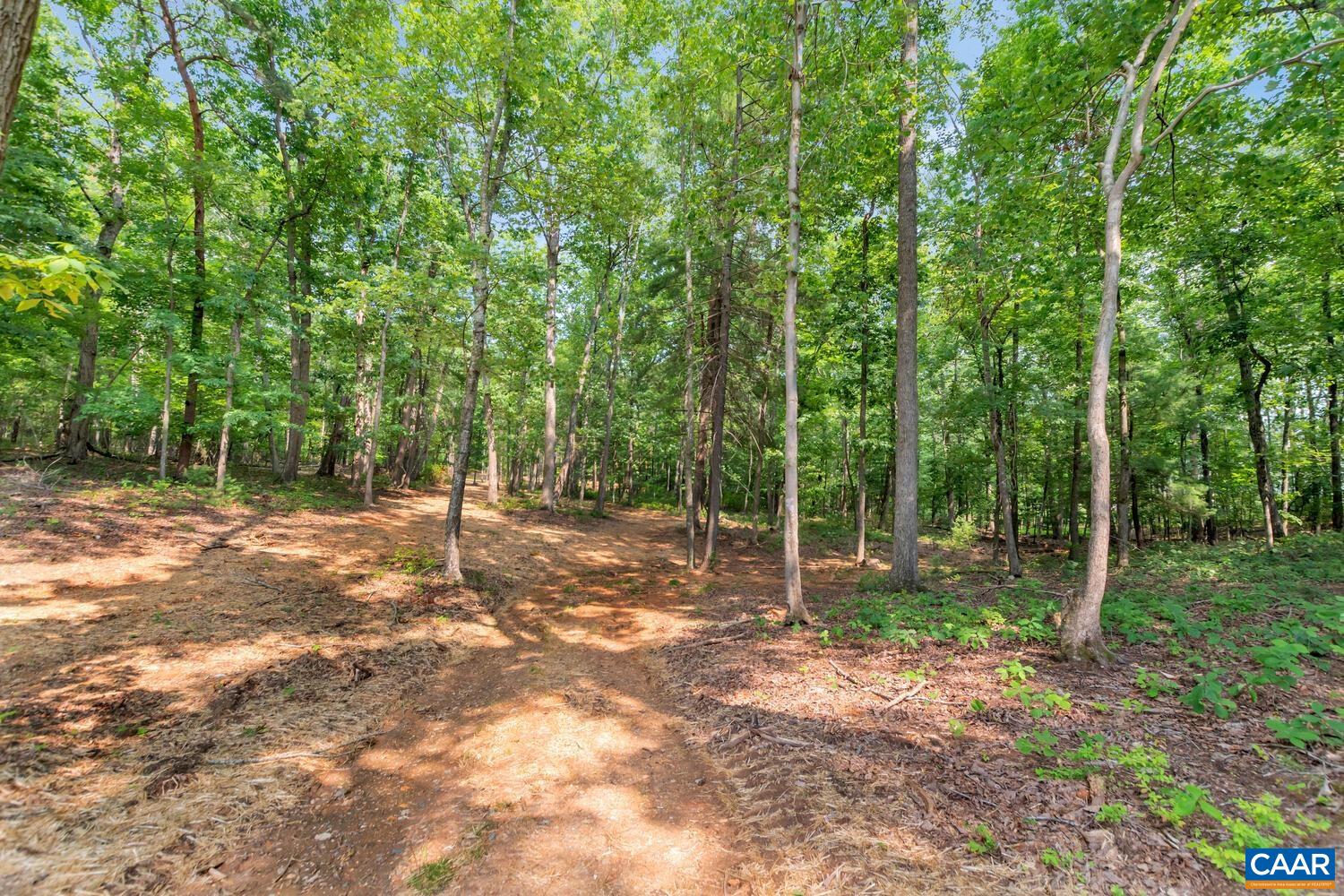 3575 Carroll Creek Road Keswick, VA 22947 - Photo 28 of 75 Gallery Image 28