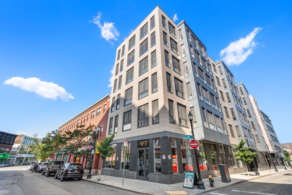 16 Taber Street, Unit 203 Boston, MA 02119 - Photo 11 of 35