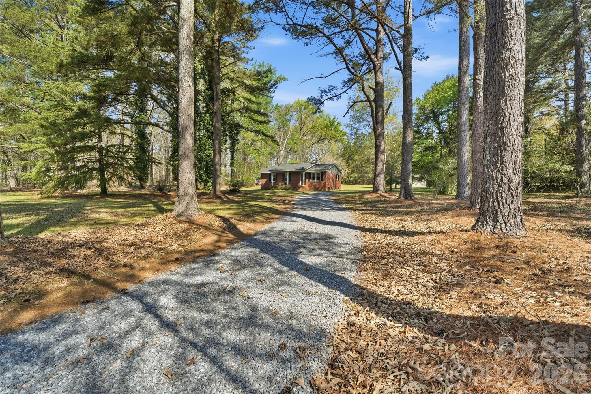 2291 Hicklin Bridge Road Edgemoor, SC 29712 - Photo 32 of 42 a view of a yard with trees