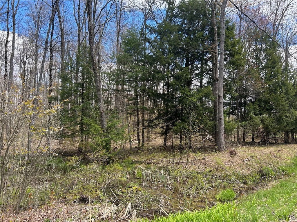 0 North Hillsborough Road Camden, NY 13316 - Photo 8 of 8