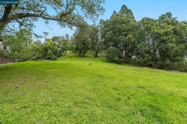 a view of a field of grass and trees