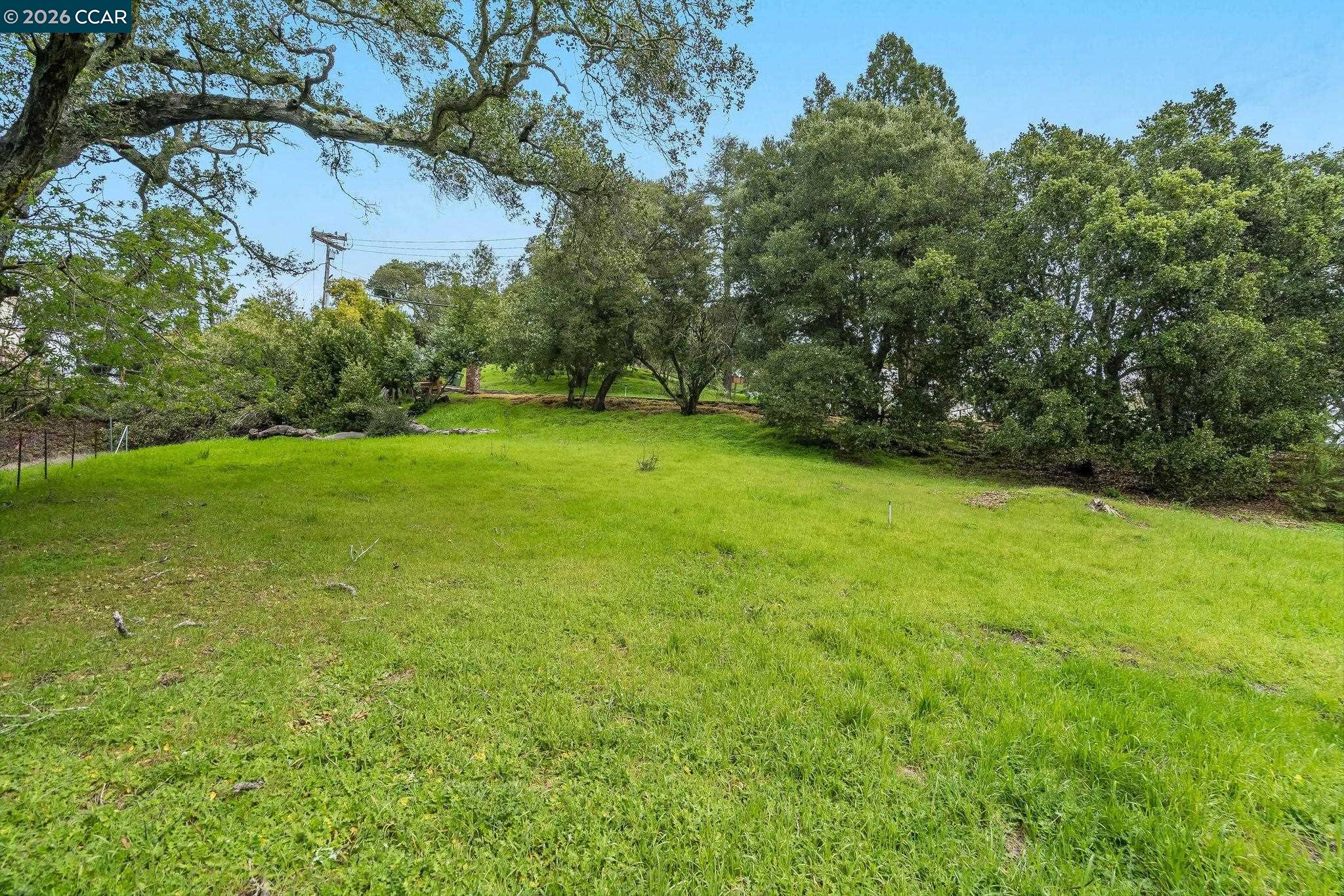 a view of a field of grass and trees