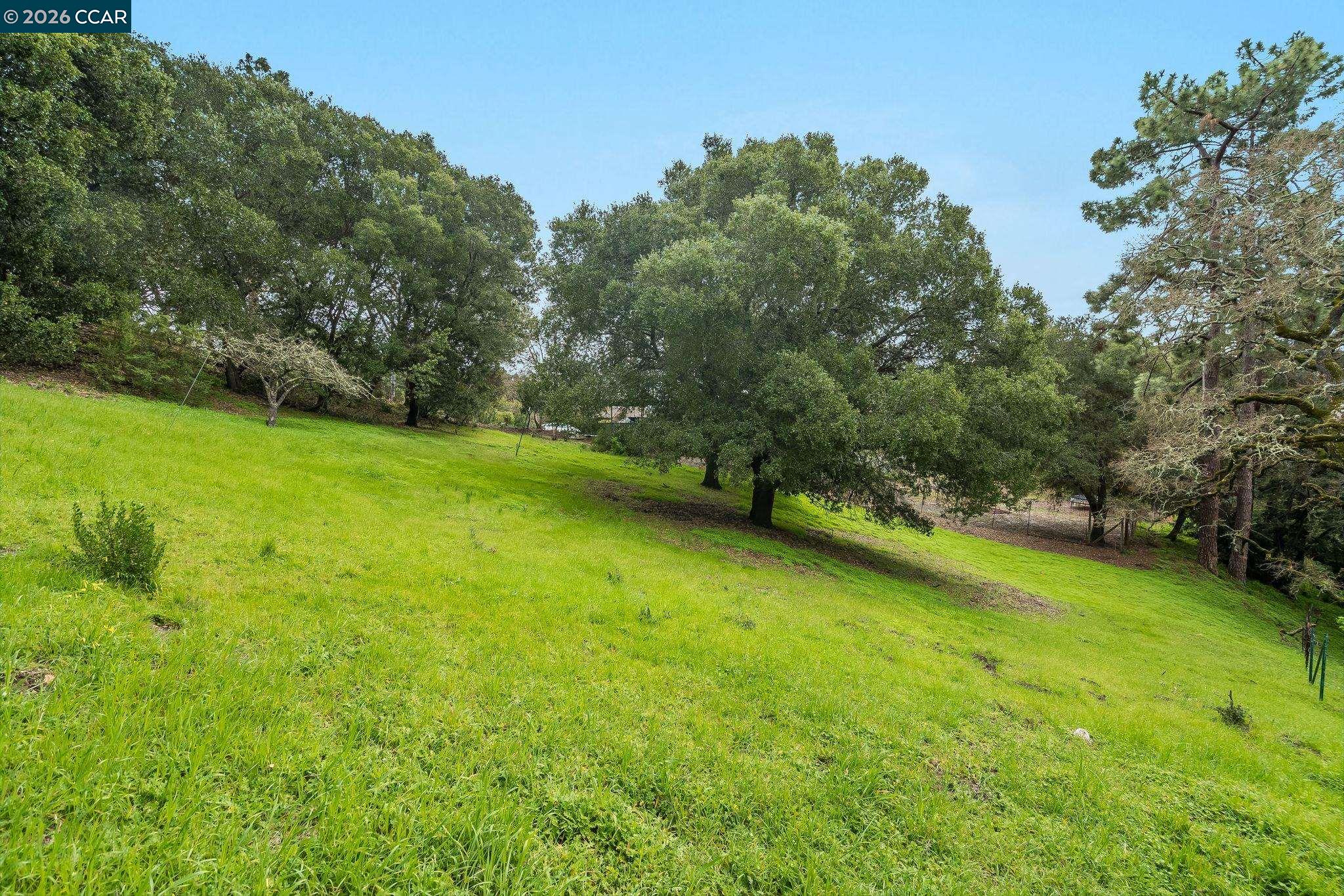 9 Charles Hill Road Orinda, CA 94563 - Photo 11 of 18 a view of a green yard