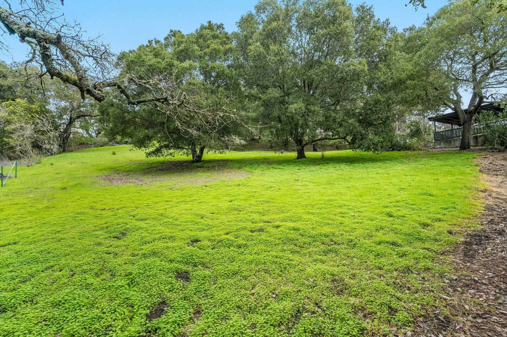 9 Charles Hill Road Orinda, CA 94563 - Photo 12 of 18 a view of a green yard