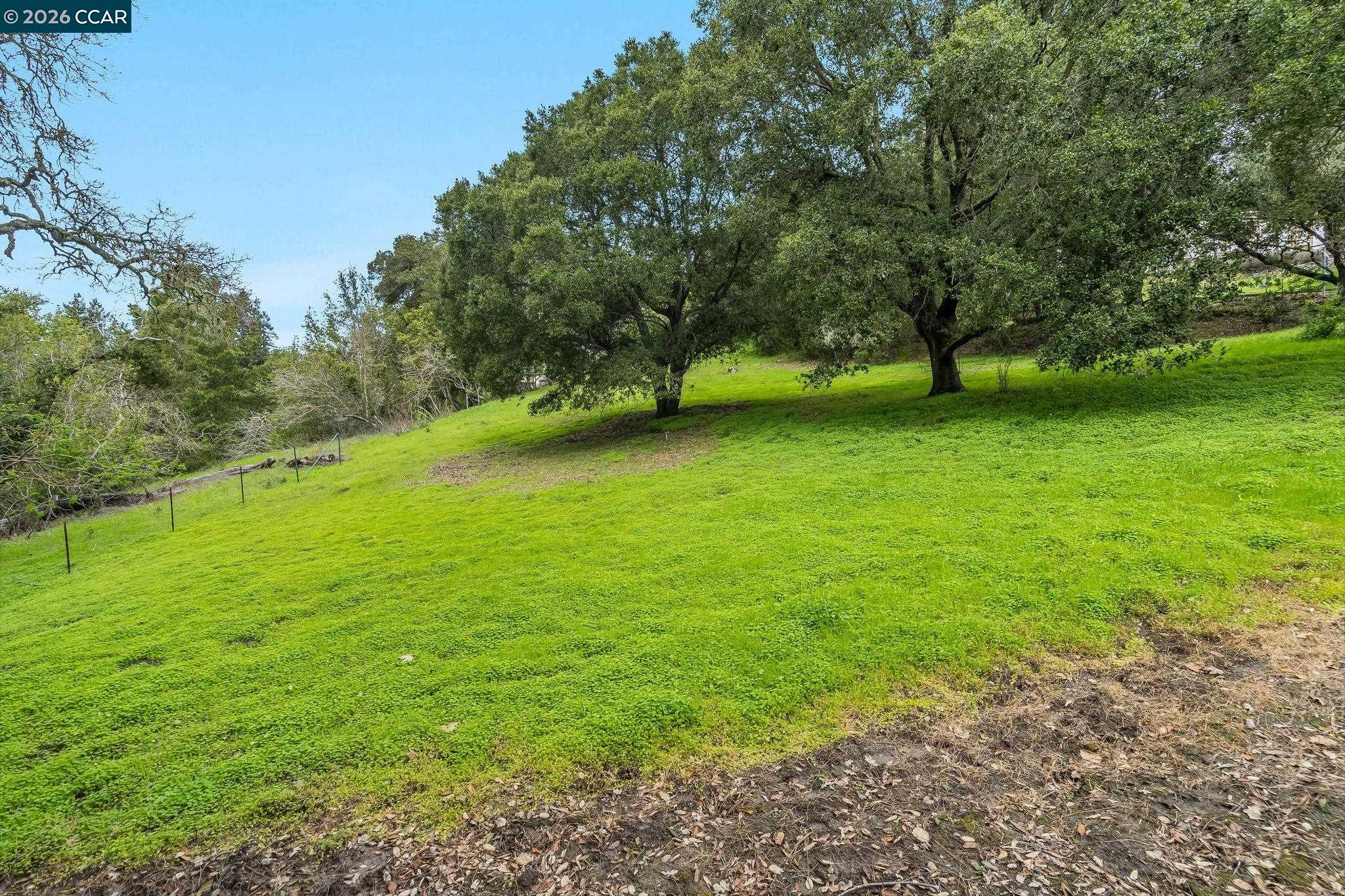 9 Charles Hill Road Orinda, CA 94563 - Photo 13 of 18 a view of field with trees