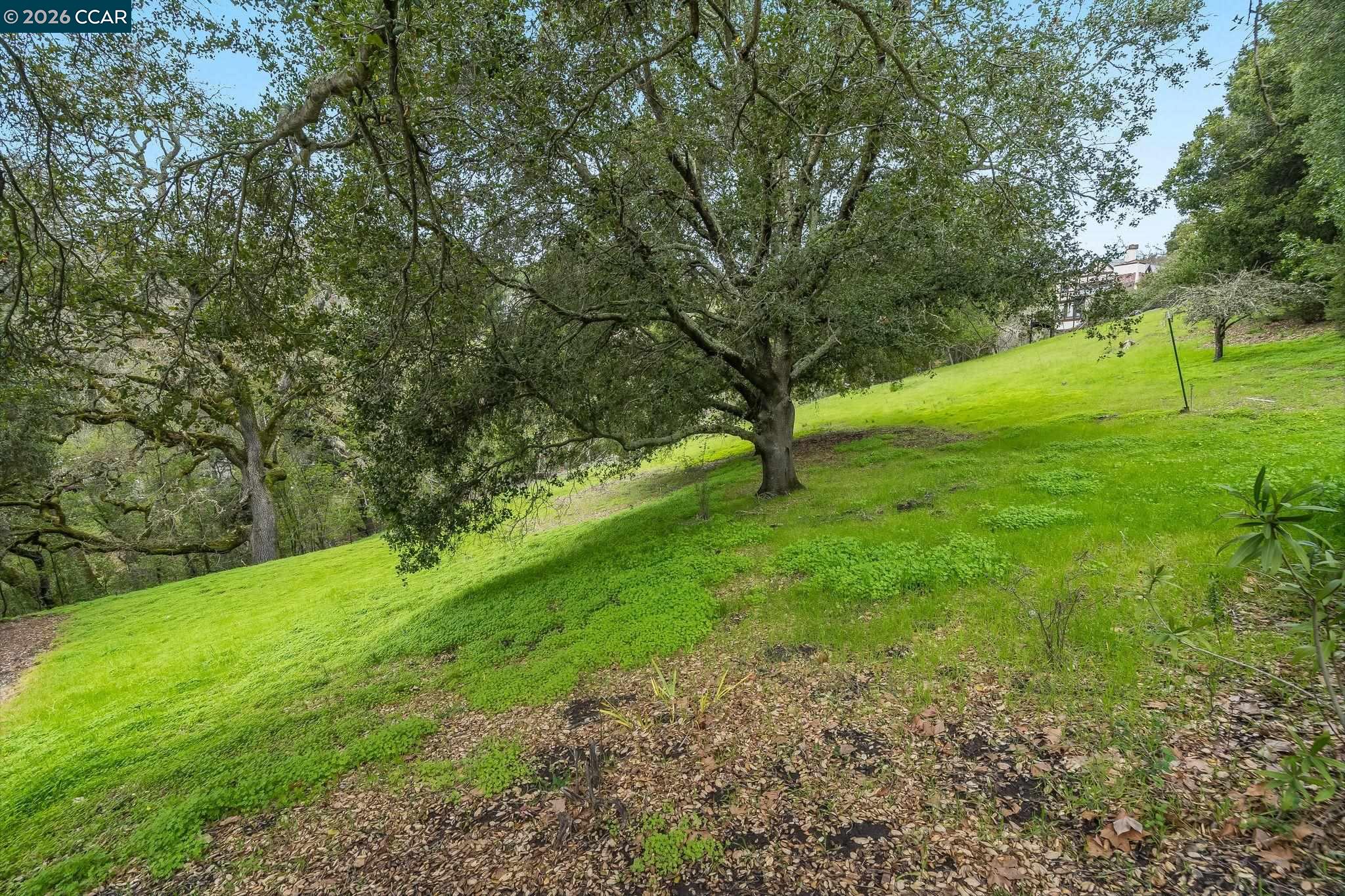 9 Charles Hill Road Orinda, CA 94563 - Photo 14 of 18 a view of field with trees in the background