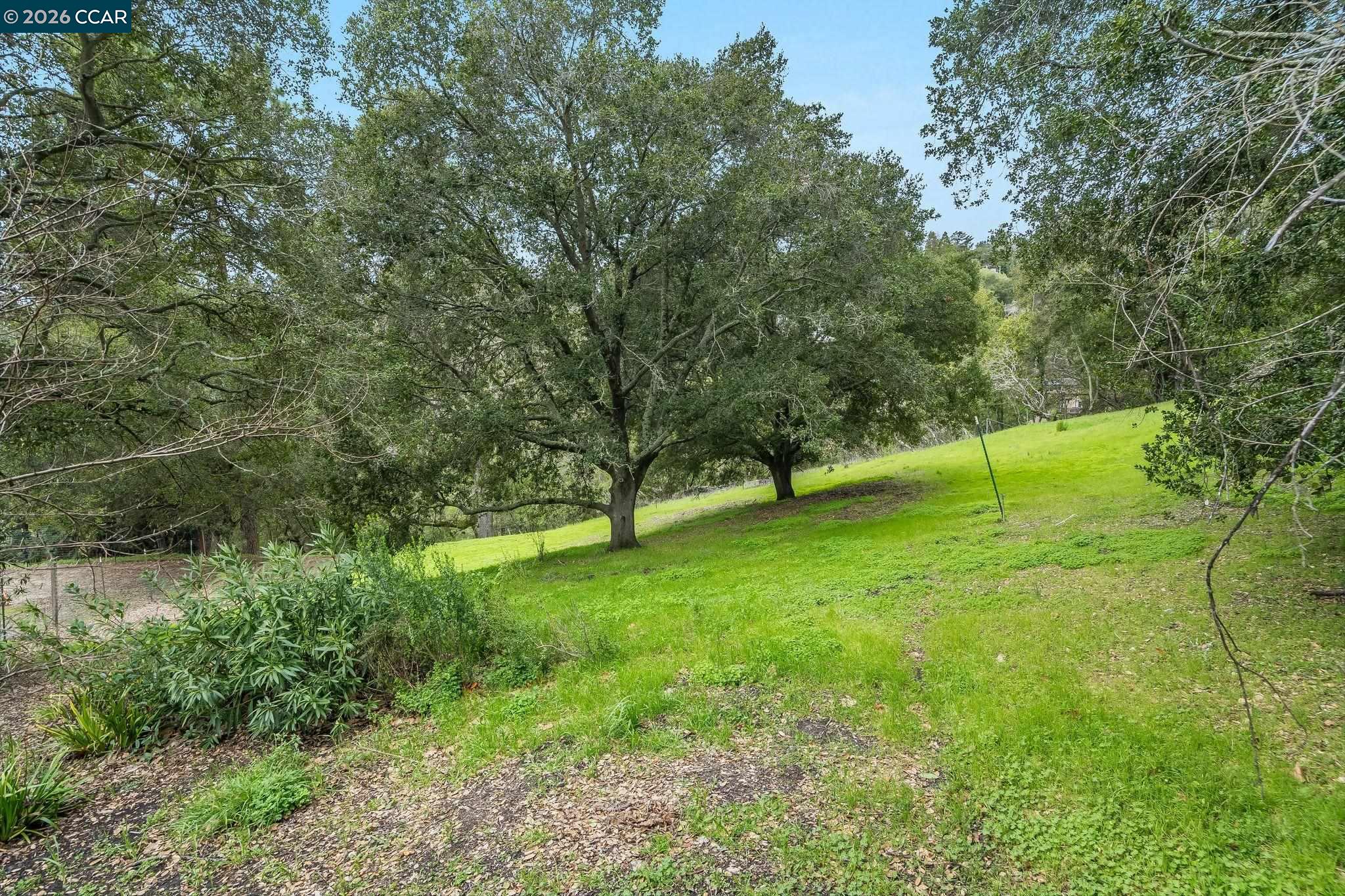 9 Charles Hill Road Orinda, CA 94563 - Photo 15 of 18 a view of green field