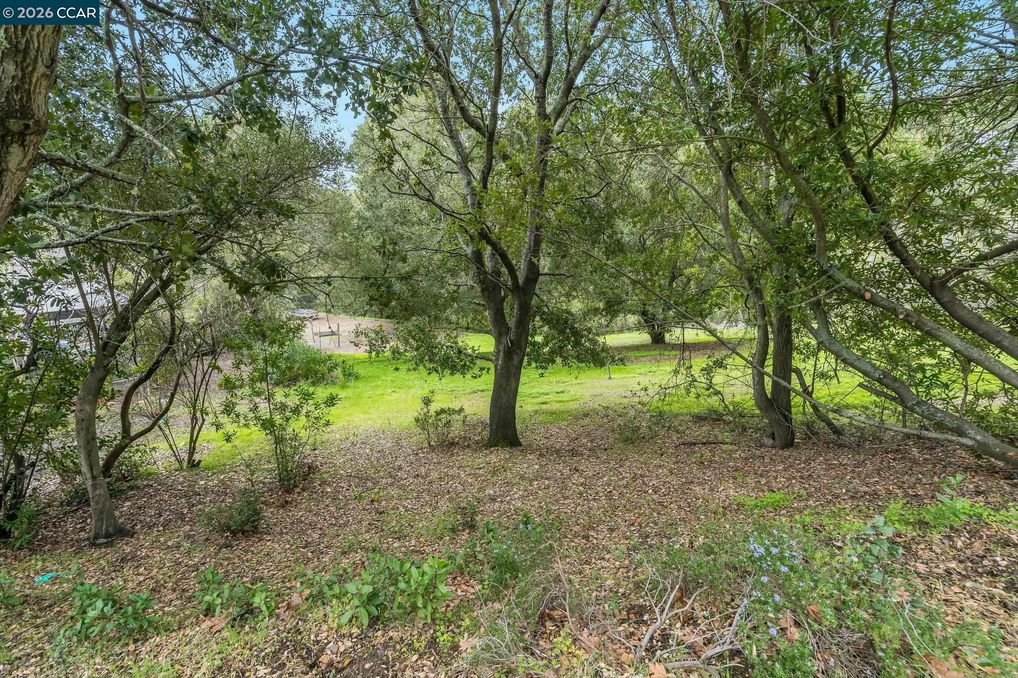 9 Charles Hill Road Orinda, CA 94563 - Photo 16 of 18 a view of outdoor space and trees