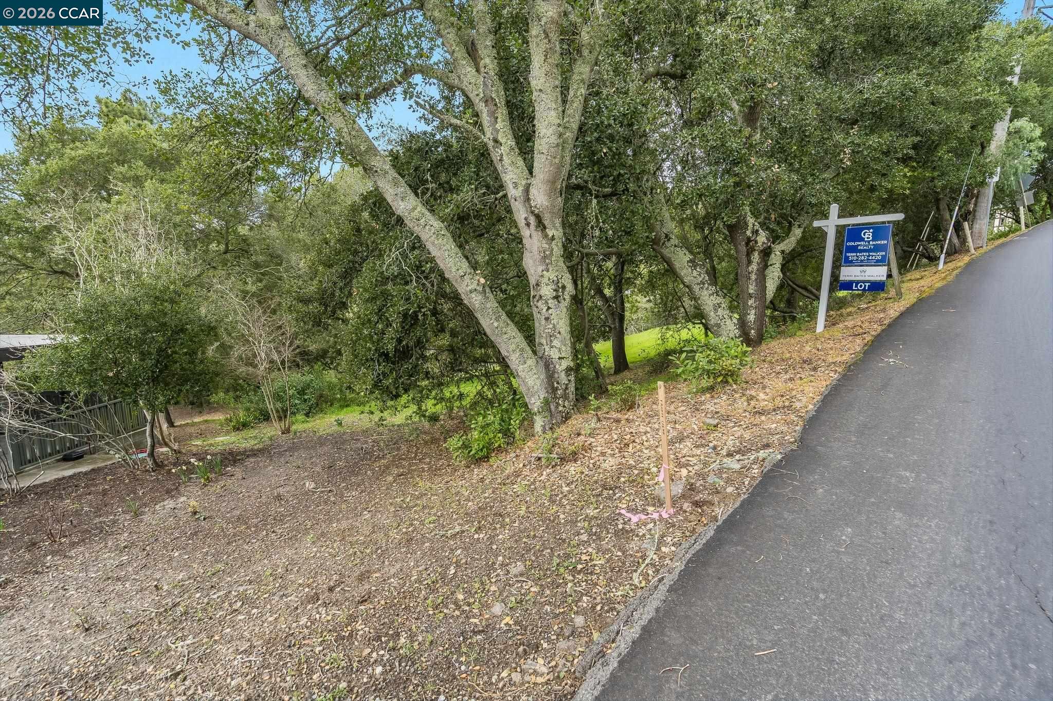 9 Charles Hill Road Orinda, CA 94563 - Photo 17 of 18 a road view with large trees