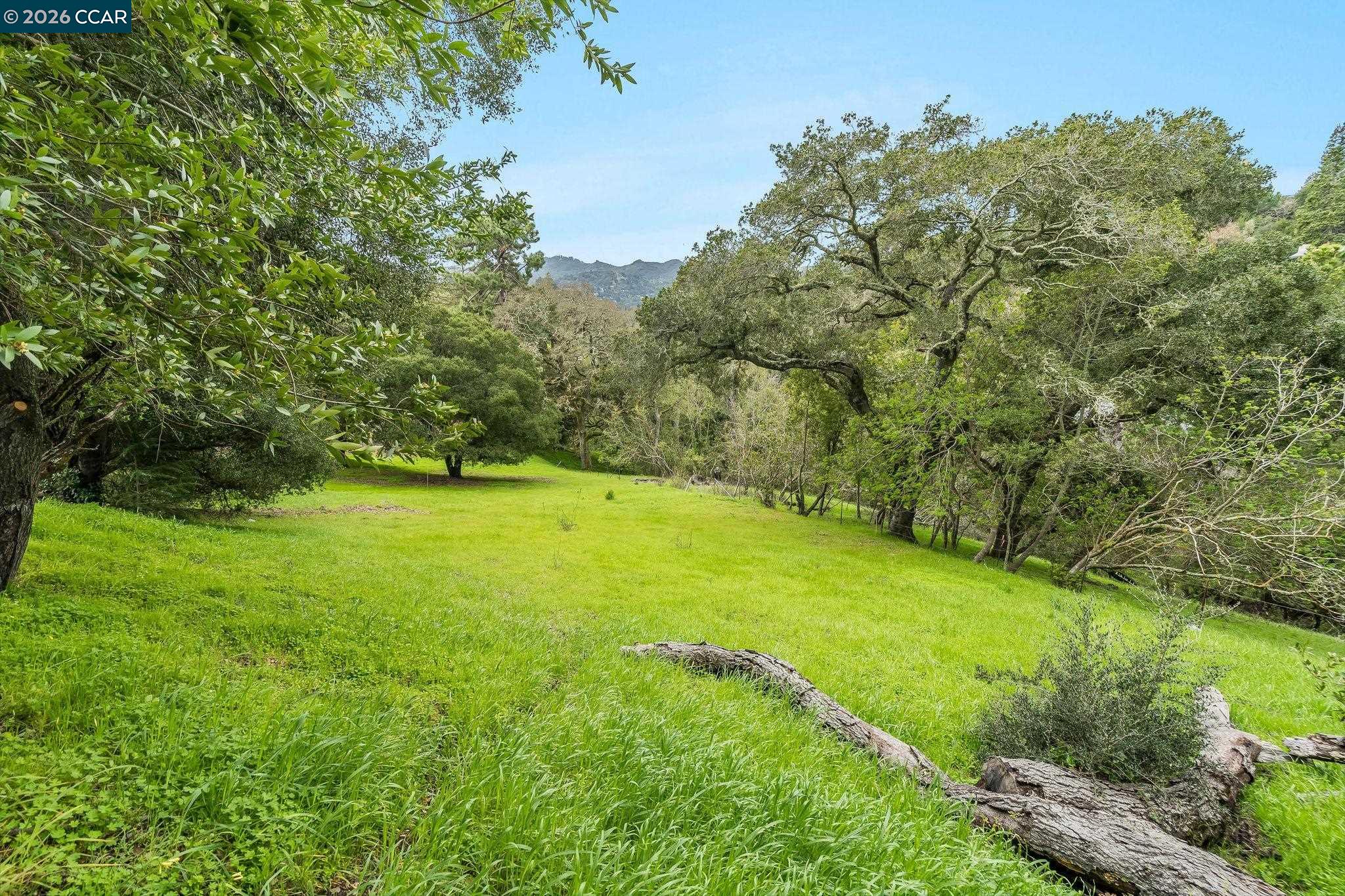 9 Charles Hill Road Orinda, CA 94563 - Photo 4 of 18 a view of field with grass and trees