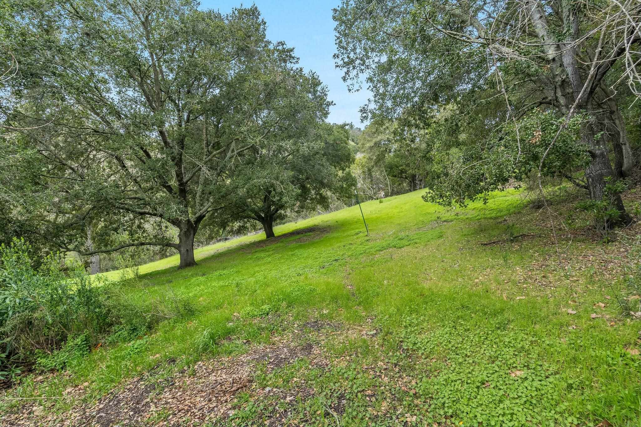 9 Charles Hill Road Orinda, CA 94563 - Photo 5 of 18 a view of yard with green space
