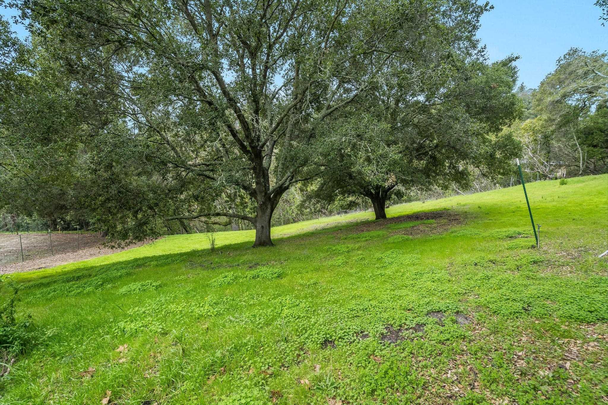 9 Charles Hill Road Orinda, CA 94563 - Photo 6 of 18 a view of yard with trees