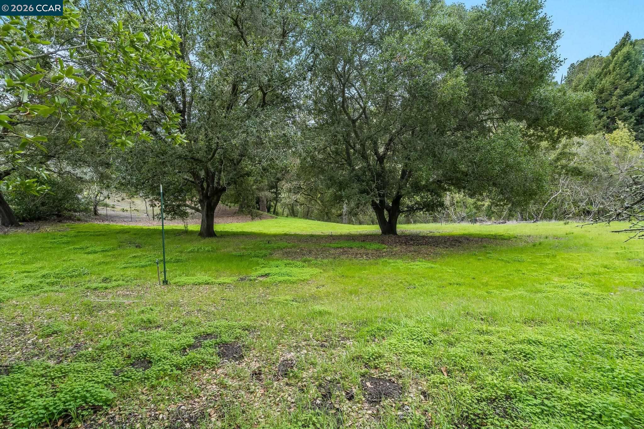 9 Charles Hill Road Orinda, CA 94563 - Photo 7 of 18 a view of yard with green space