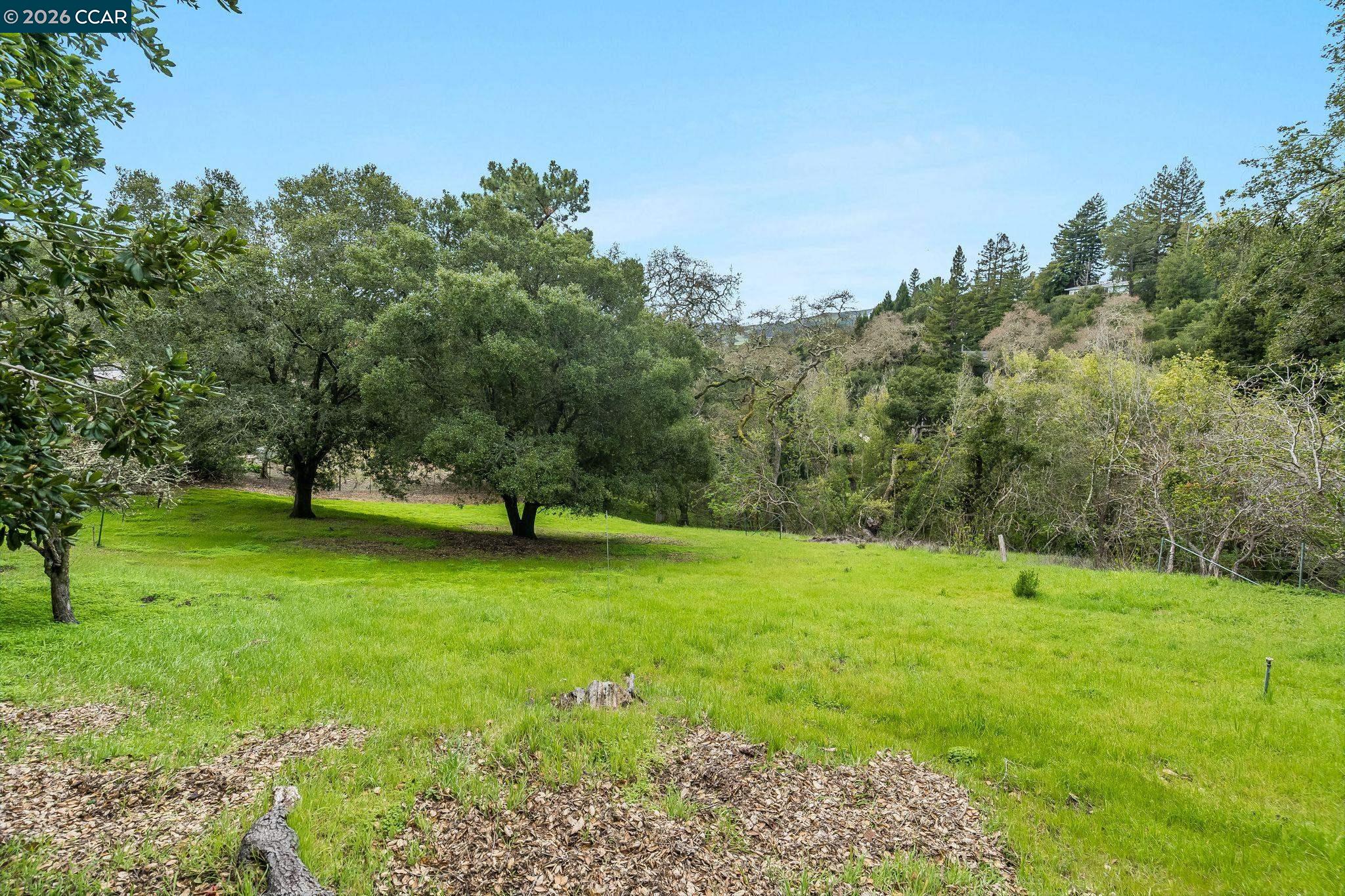 9 Charles Hill Road Orinda, CA 94563 - Photo 8 of 18 a view of a field with a tree in the background