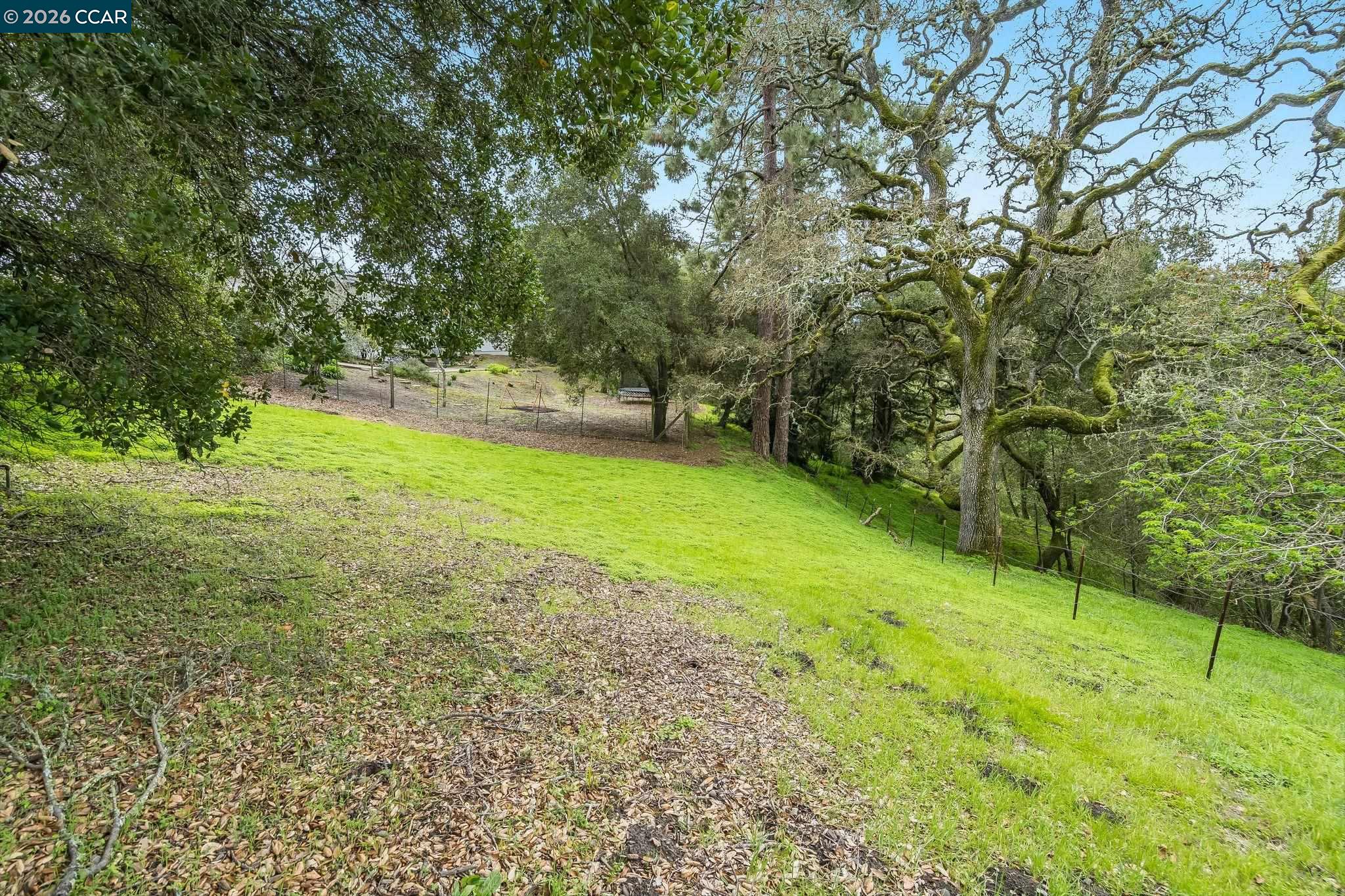 9 Charles Hill Road Orinda, CA 94563 - Photo 10 of 18 a view of yard with green space