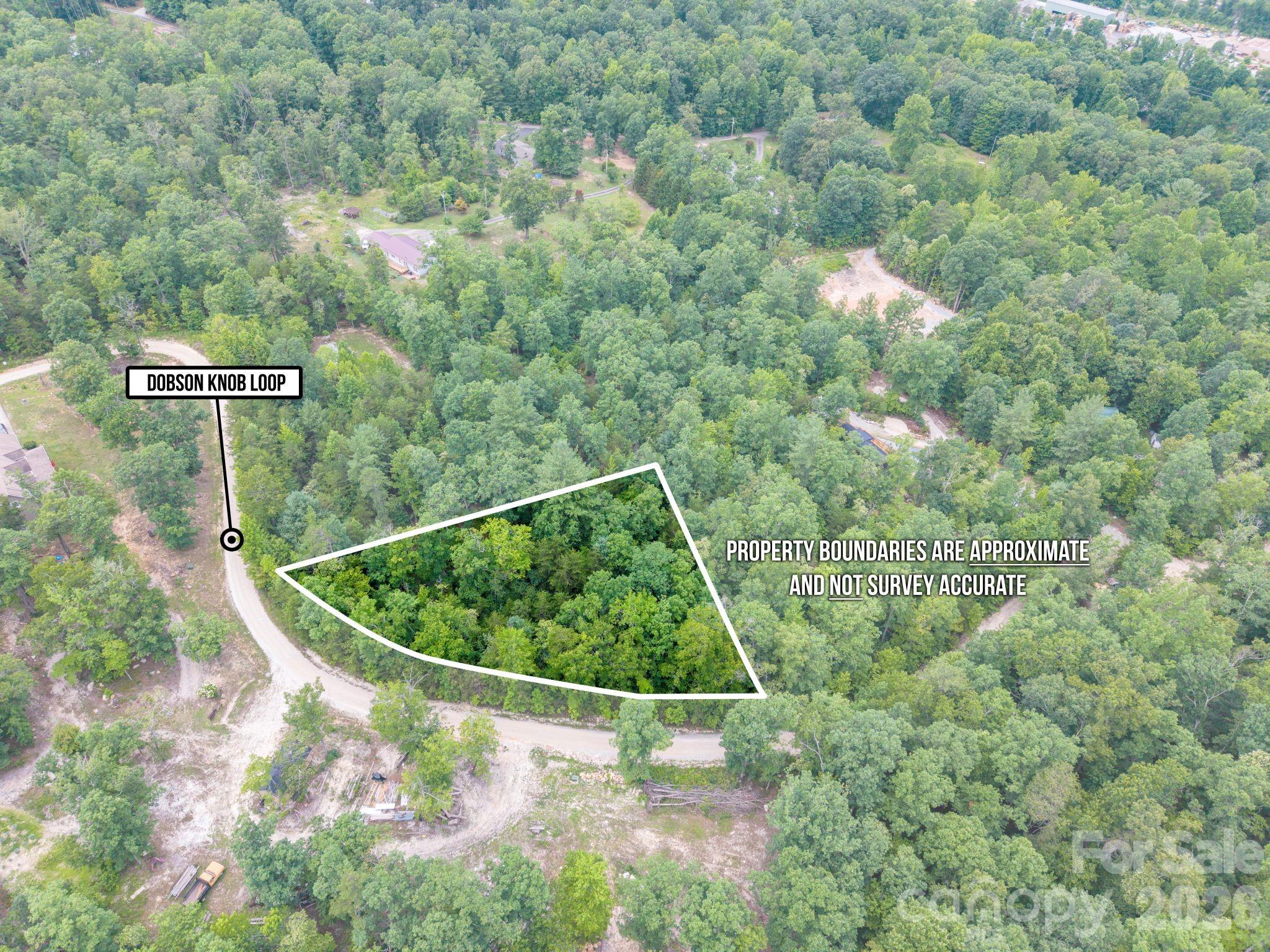 6 Dobsons Knob Loop Road Marion, NC 28752 - Photo 14 of 14