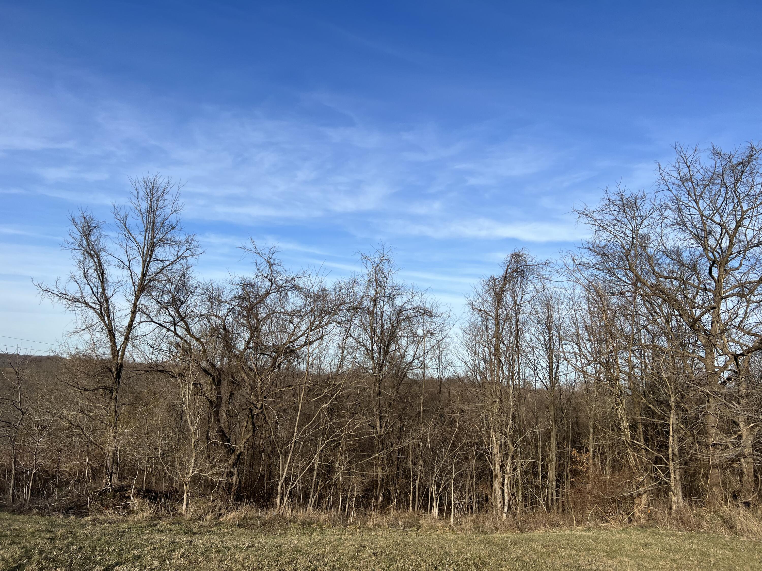 0 Elizaville Road Ewing, KY 41039 - Photo 11 of 11 403903E7-6ED5-462D-A7B2-D92D13F409CF