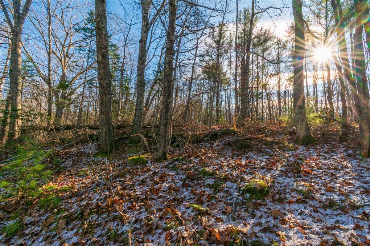11 Map Way Rockport, ME 04856 - Photo 24 of 27 Map 11 Lot 50-2 Malachi Way, Rockport