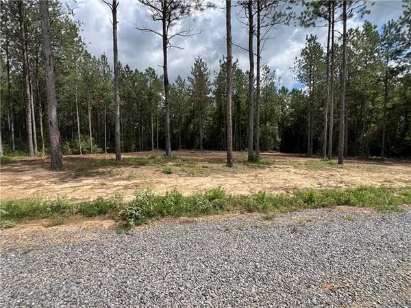 $61,955 | Lot 4 Hwy 25 Highway, Franklinton, LA 70438