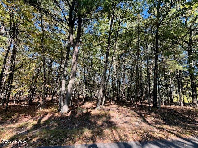 116 Primrose Lane Dingmans Ferry, PA 18328 - Photo 5 of 11