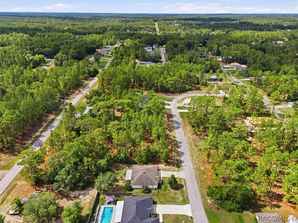 7745 North Janeaux Drive Citrus Springs, FL 34434 - Photo 53 of 53
