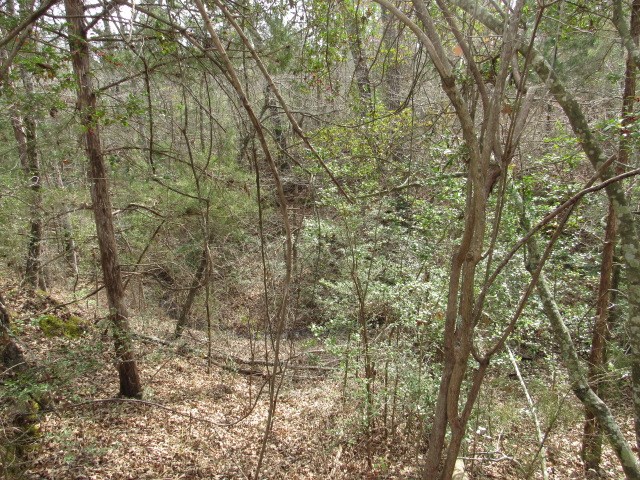 102 An County Road, Unit 347 Palestine, TX 75803 - Photo 17 of 27