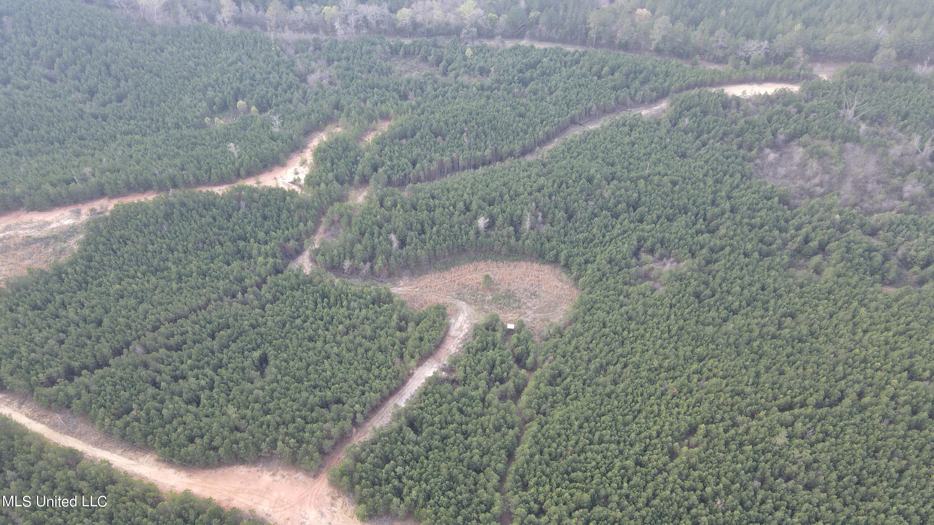 Honeysucker Rd Road Camden, MS 39045 - Photo 18 of 22 942B1D32-BB2F-4B75-B3D3-87524404D441