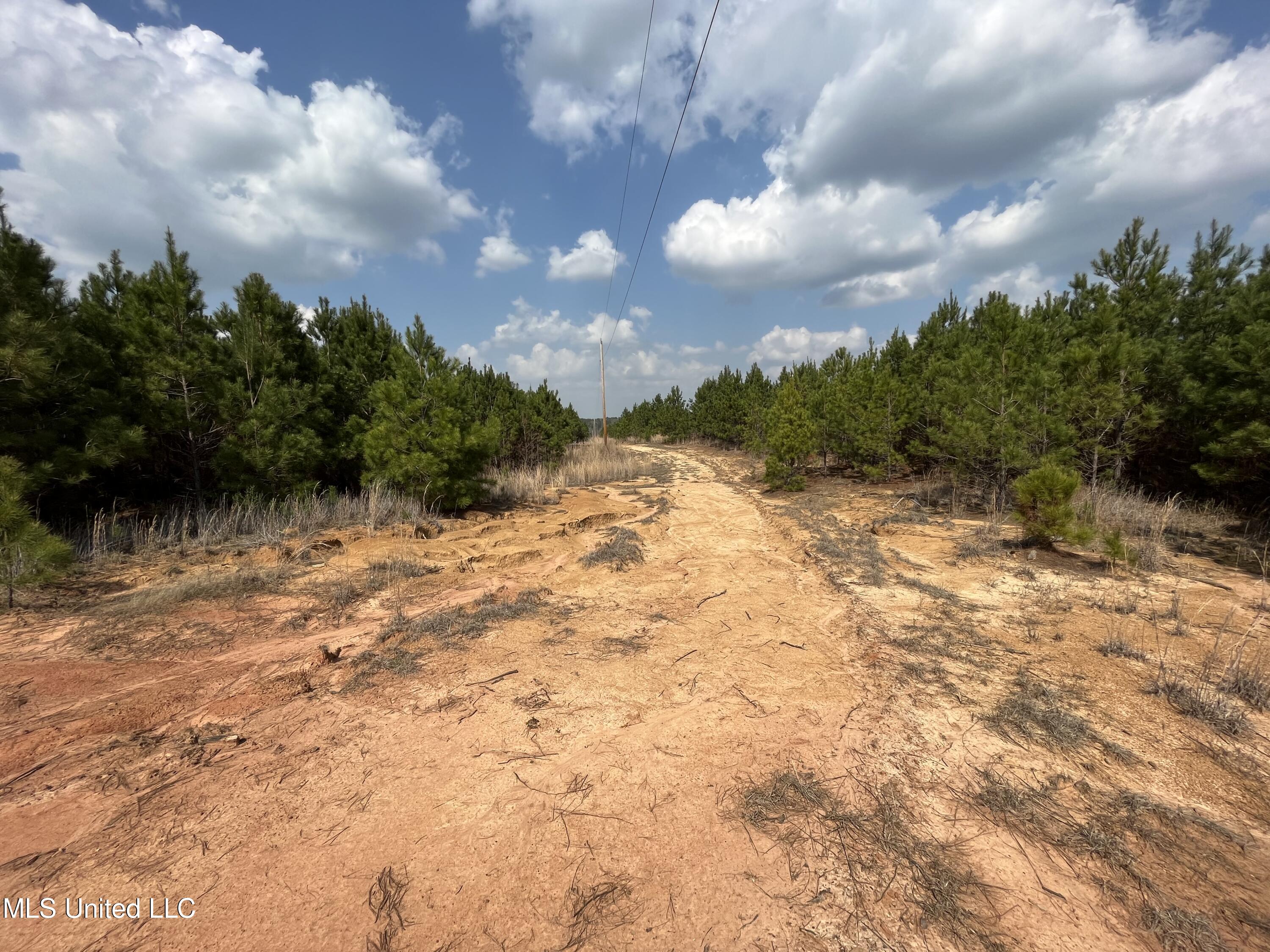 Honeysucker Rd Road Camden, MS 39045 - Photo 8 of 22 CC99DD18-8BA5-4D4E-96DF-48B45922B9C5