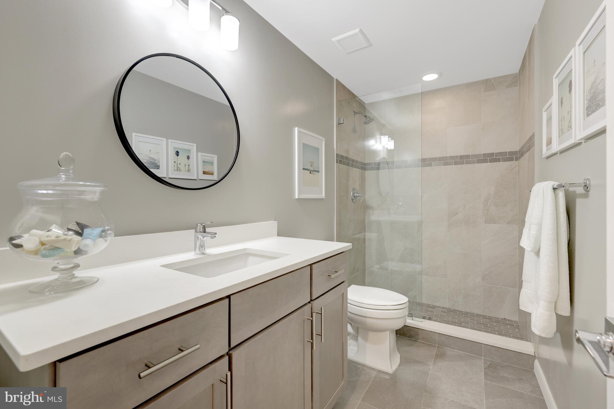 526 Springvale Road Great Falls, VA 22066 - Photo 41 of 55 a bathroom with a sink a toilet and a mirror