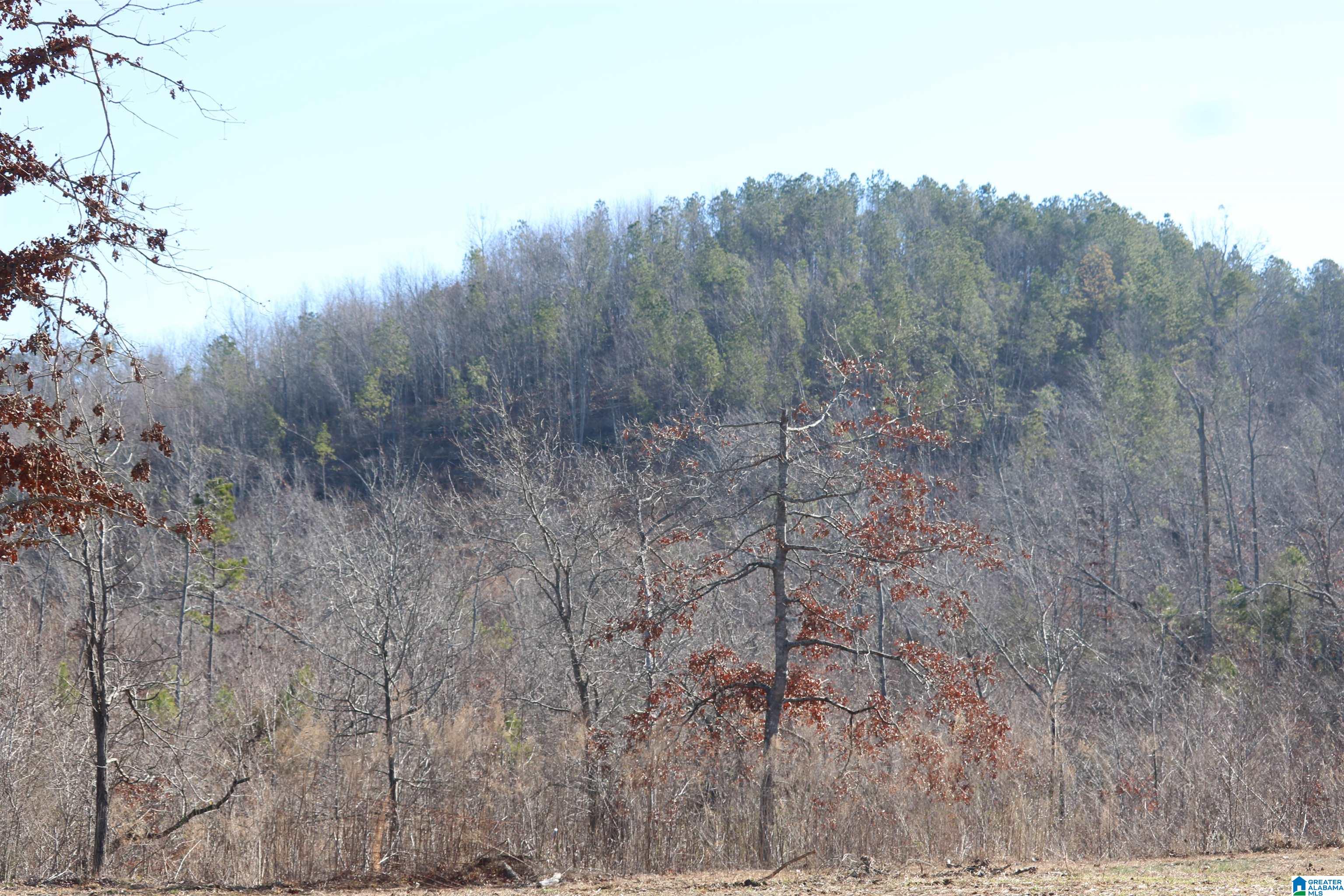 400 3 Cedars Road Ohatchee, AL 36271 - Photo 43 of 44