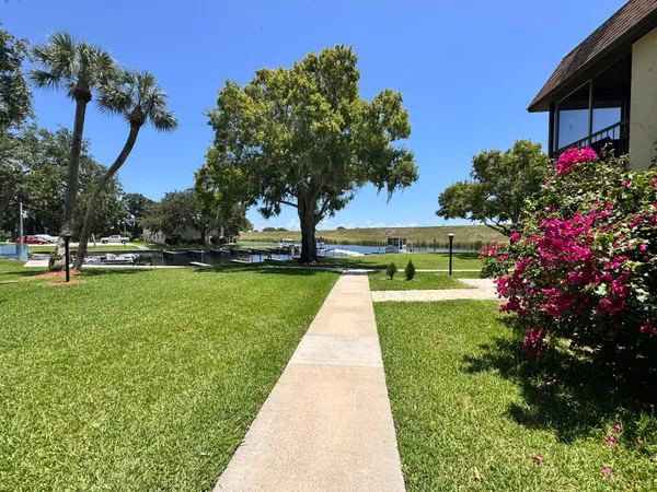 a view of a park with large trees
