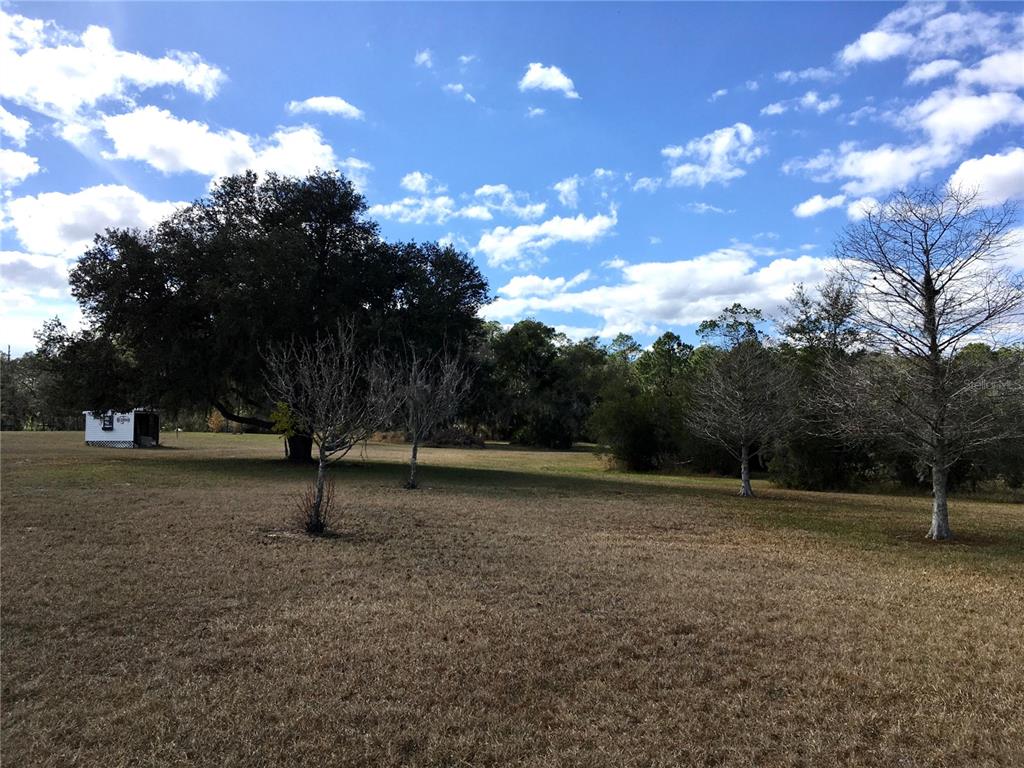 1297 Pfundstein Road Babson Park, FL 33827 - Photo 40 of 65 a view of outdoor space with trees