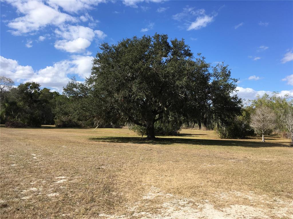 1297 Pfundstein Road Babson Park, FL 33827 - Photo 4 of 65 a view of outdoor space with lots of trees and buildings